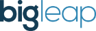 Dark Light Blue Logo