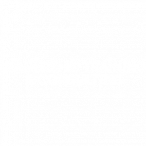Leadership Training & Consulting company