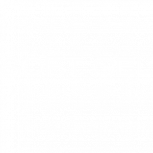 Soft Gel Technologies Inc logo