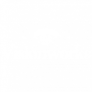 Visionworks logo