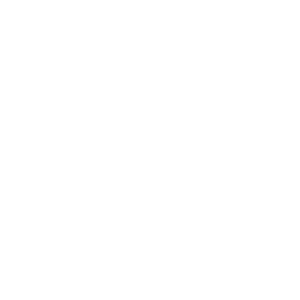 Discover Healing logo