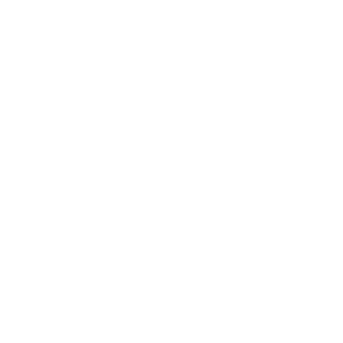 American Pest Control
