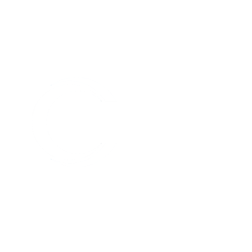 ecommerce company