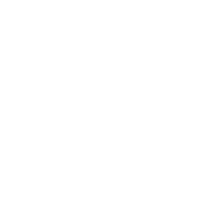 saas logo