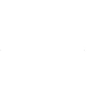 spoonful of comfort logo