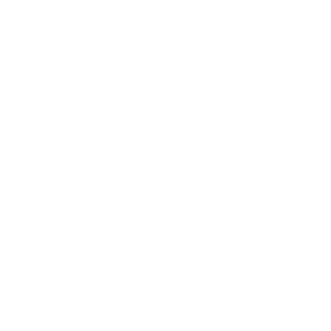 software develpment company logo