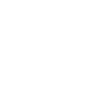 core logo