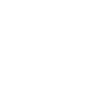 excel logo white