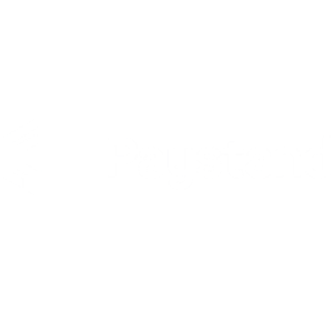 paystand logo