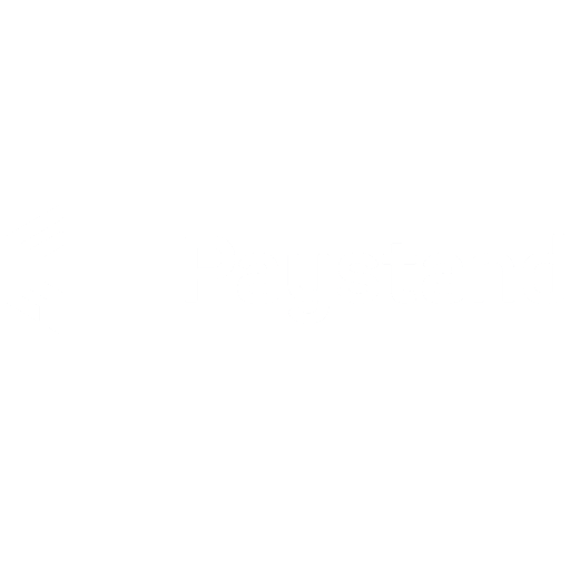 paystand logo paystand logo