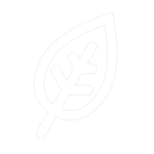Logo for Redmond Life