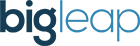 Big Leap Logo