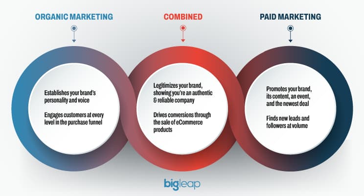 Create a social media strategy that uses paid and organic social media together.