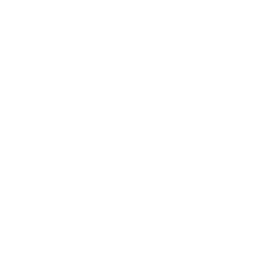 Security & Home Automation Systems logo